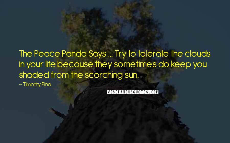 Timothy Pina Quotes: The Peace Panda Says ... Try to tolerate the clouds in your life because they sometimes do keep you shaded from the scorching sun.