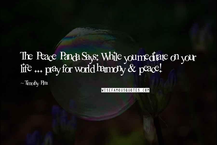 Timothy Pina Quotes: The Peace Panda Says: While you meditate on your life ... pray for world harmony & peace!