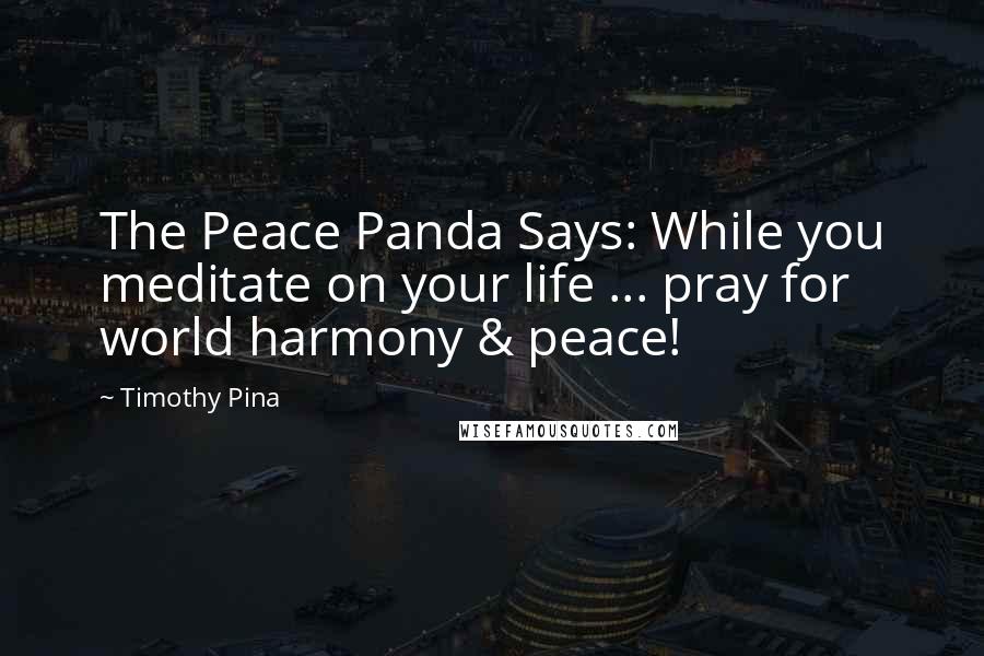 Timothy Pina Quotes: The Peace Panda Says: While you meditate on your life ... pray for world harmony & peace!