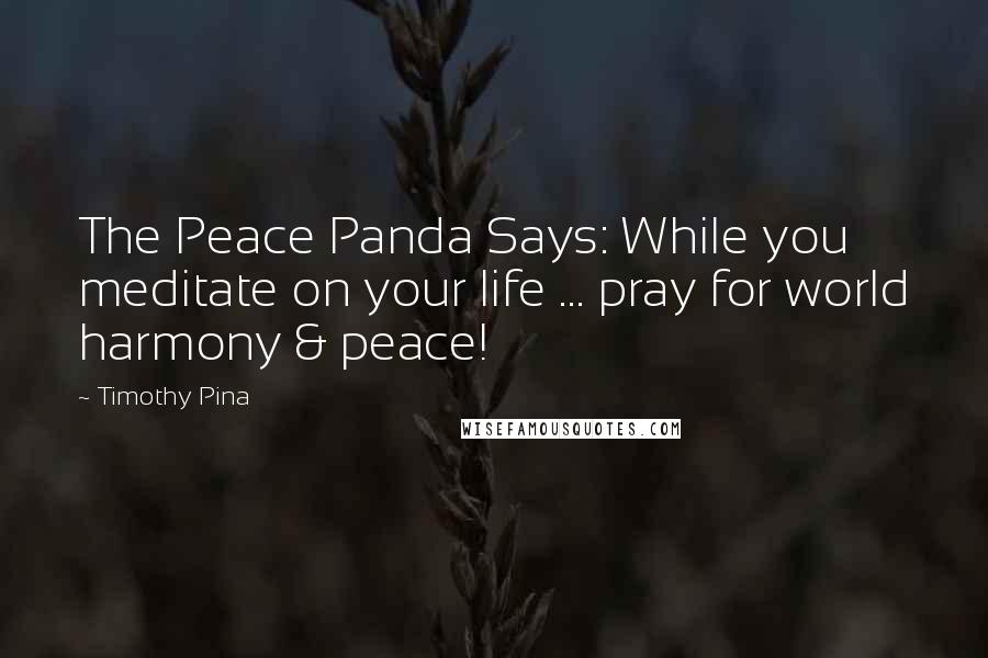 Timothy Pina Quotes: The Peace Panda Says: While you meditate on your life ... pray for world harmony & peace!