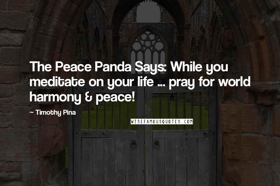 Timothy Pina Quotes: The Peace Panda Says: While you meditate on your life ... pray for world harmony & peace!