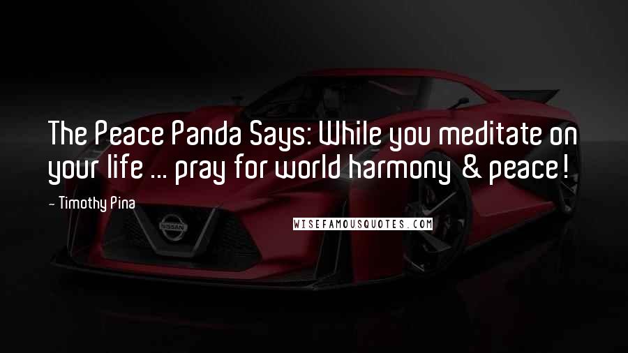 Timothy Pina Quotes: The Peace Panda Says: While you meditate on your life ... pray for world harmony & peace!