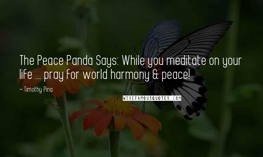 Timothy Pina Quotes: The Peace Panda Says: While you meditate on your life ... pray for world harmony & peace!