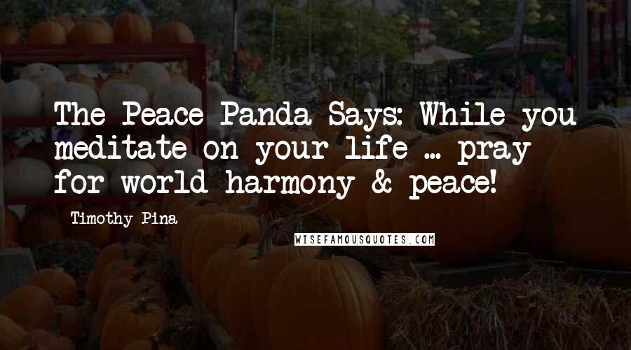 Timothy Pina Quotes: The Peace Panda Says: While you meditate on your life ... pray for world harmony & peace!