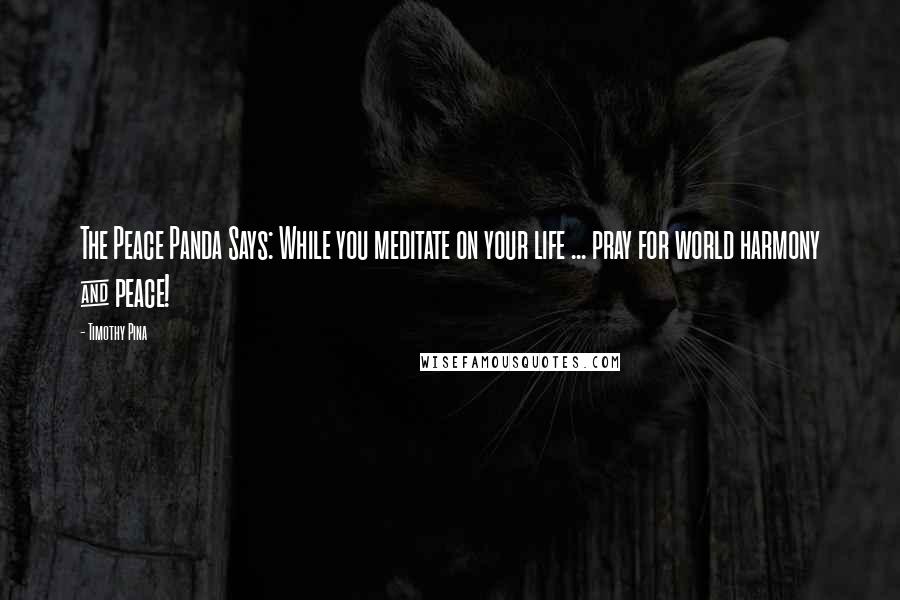 Timothy Pina Quotes: The Peace Panda Says: While you meditate on your life ... pray for world harmony & peace!