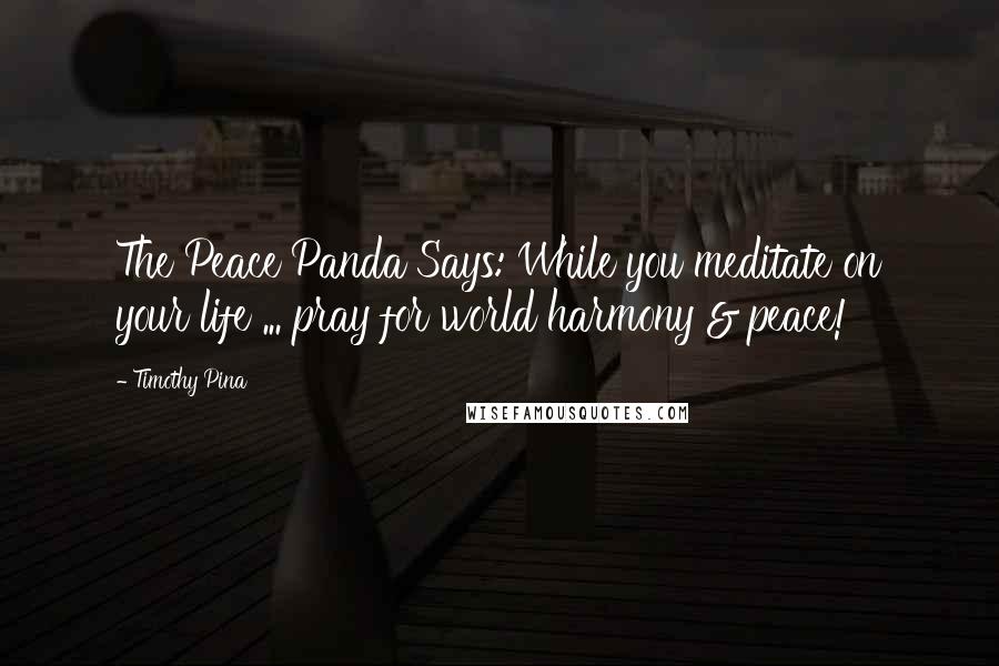 Timothy Pina Quotes: The Peace Panda Says: While you meditate on your life ... pray for world harmony & peace!