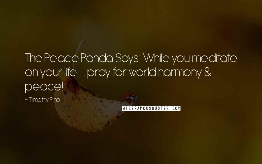 Timothy Pina Quotes: The Peace Panda Says: While you meditate on your life ... pray for world harmony & peace!