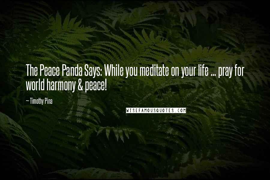 Timothy Pina Quotes: The Peace Panda Says: While you meditate on your life ... pray for world harmony & peace!