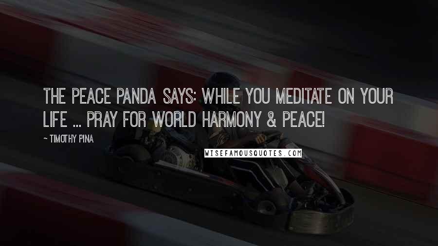 Timothy Pina Quotes: The Peace Panda Says: While you meditate on your life ... pray for world harmony & peace!