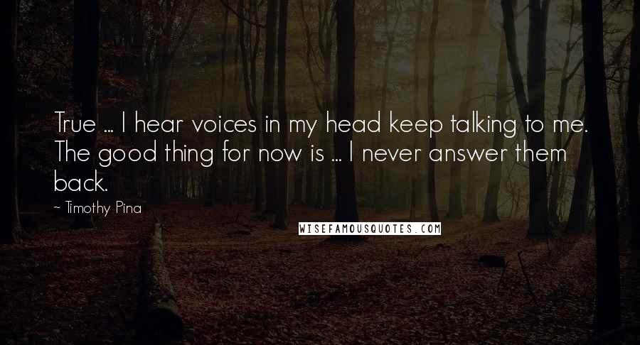 Timothy Pina Quotes: True ... I hear voices in my head keep talking to me. The good thing for now is ... I never answer them back.