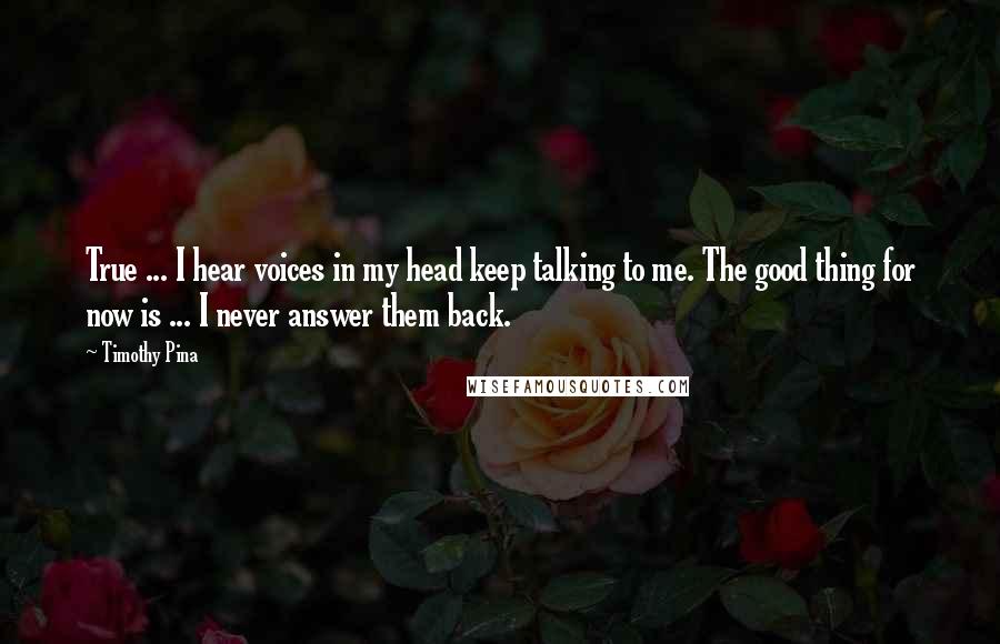 Timothy Pina Quotes: True ... I hear voices in my head keep talking to me. The good thing for now is ... I never answer them back.