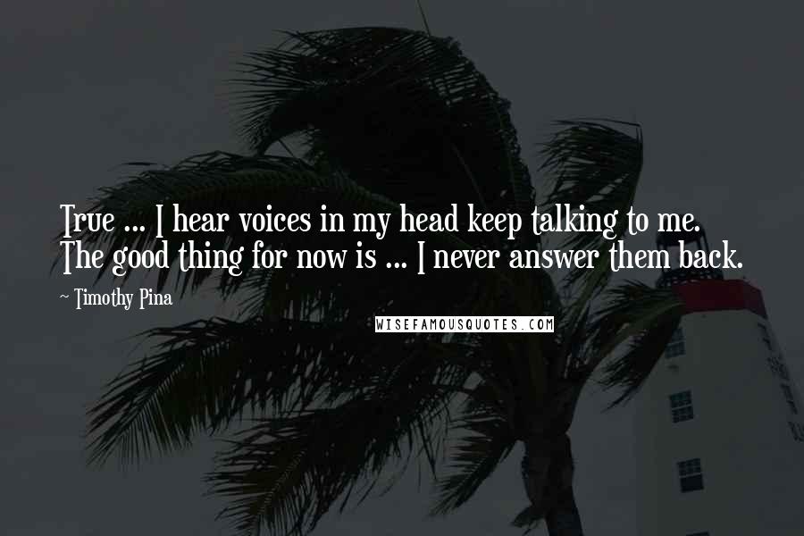 Timothy Pina Quotes: True ... I hear voices in my head keep talking to me. The good thing for now is ... I never answer them back.