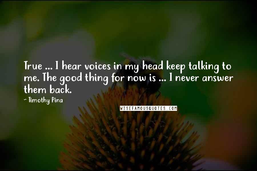 Timothy Pina Quotes: True ... I hear voices in my head keep talking to me. The good thing for now is ... I never answer them back.