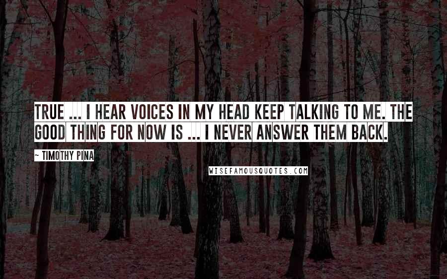 Timothy Pina Quotes: True ... I hear voices in my head keep talking to me. The good thing for now is ... I never answer them back.