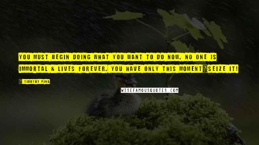 Timothy Pina Quotes: You must begin doing what you want to do now. No one is immortal & lives forever. You have only this moment~seize it!