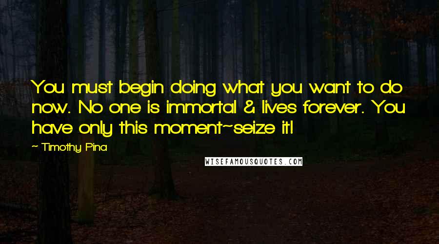 Timothy Pina Quotes: You must begin doing what you want to do now. No one is immortal & lives forever. You have only this moment~seize it!