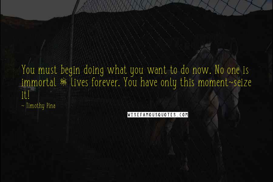 Timothy Pina Quotes: You must begin doing what you want to do now. No one is immortal & lives forever. You have only this moment~seize it!