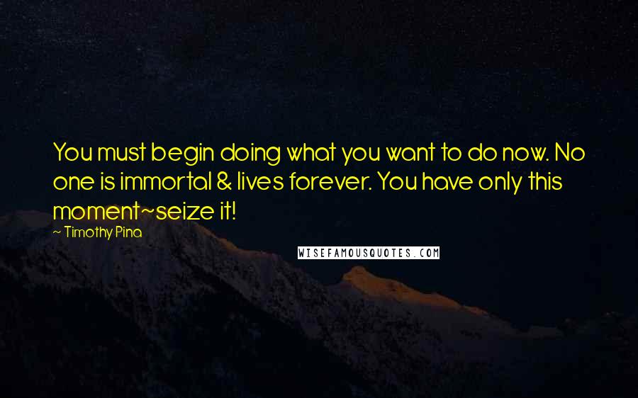 Timothy Pina Quotes: You must begin doing what you want to do now. No one is immortal & lives forever. You have only this moment~seize it!