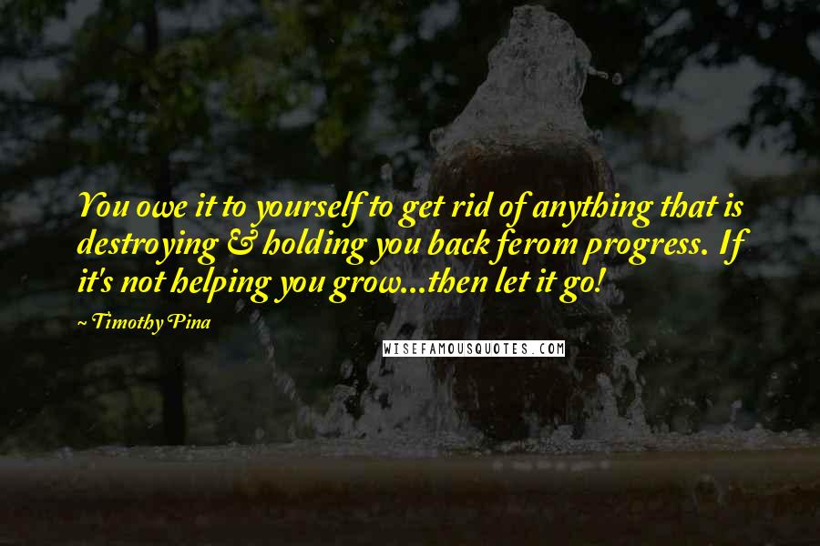 Timothy Pina Quotes: You owe it to yourself to get rid of anything that is destroying & holding you back ferom progress. If it's not helping you grow...then let it go!