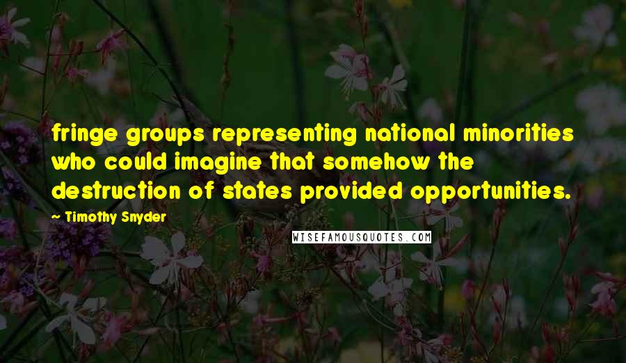 Timothy Snyder Quotes: fringe groups representing national minorities who could imagine that somehow the destruction of states provided opportunities.