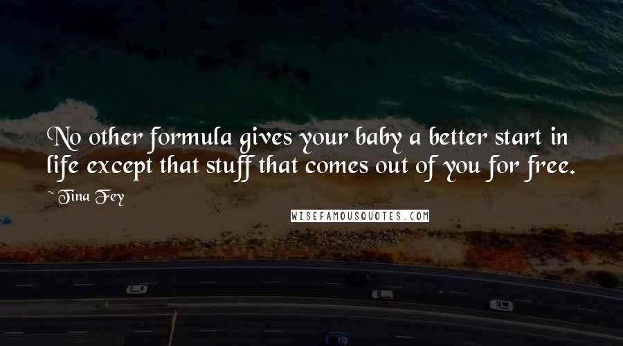 Tina Fey Quotes: No other formula gives your baby a better start in life except that stuff that comes out of you for free.