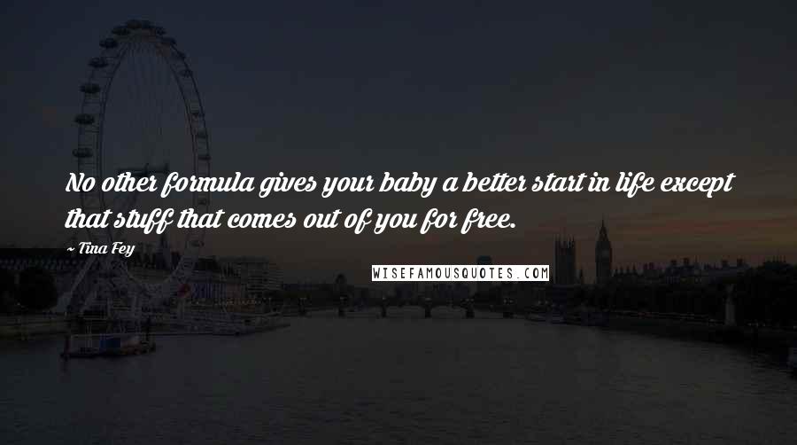 Tina Fey Quotes: No other formula gives your baby a better start in life except that stuff that comes out of you for free.