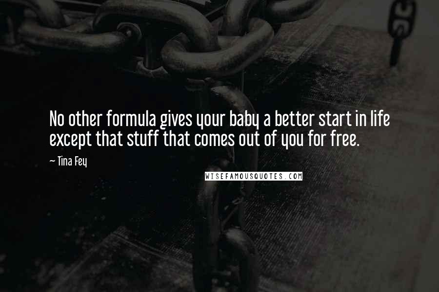 Tina Fey Quotes: No other formula gives your baby a better start in life except that stuff that comes out of you for free.