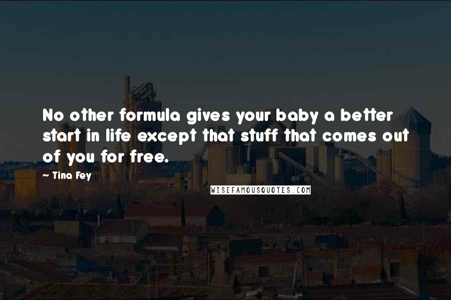 Tina Fey Quotes: No other formula gives your baby a better start in life except that stuff that comes out of you for free.