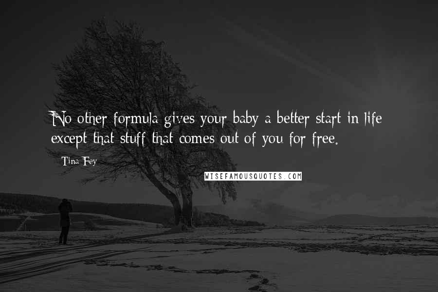 Tina Fey Quotes: No other formula gives your baby a better start in life except that stuff that comes out of you for free.