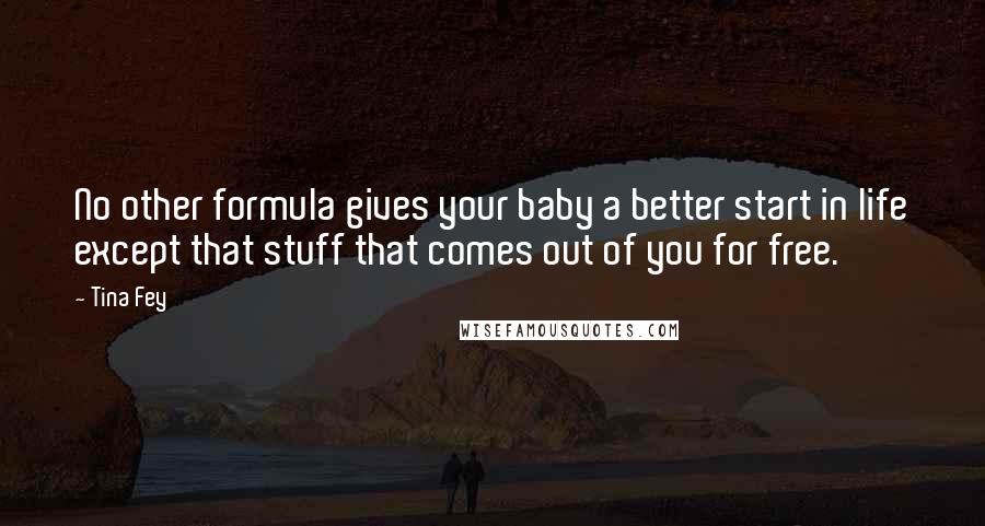 Tina Fey Quotes: No other formula gives your baby a better start in life except that stuff that comes out of you for free.