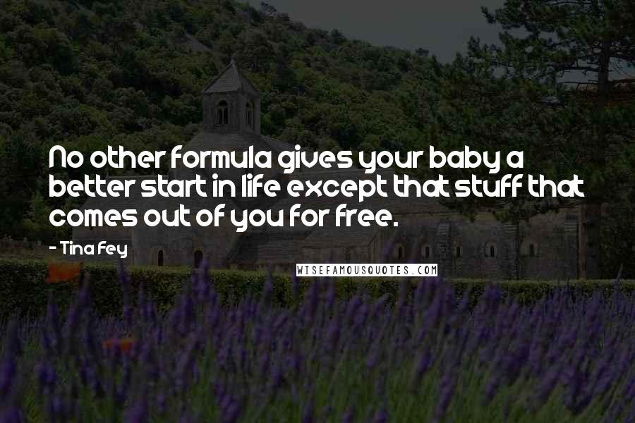 Tina Fey Quotes: No other formula gives your baby a better start in life except that stuff that comes out of you for free.