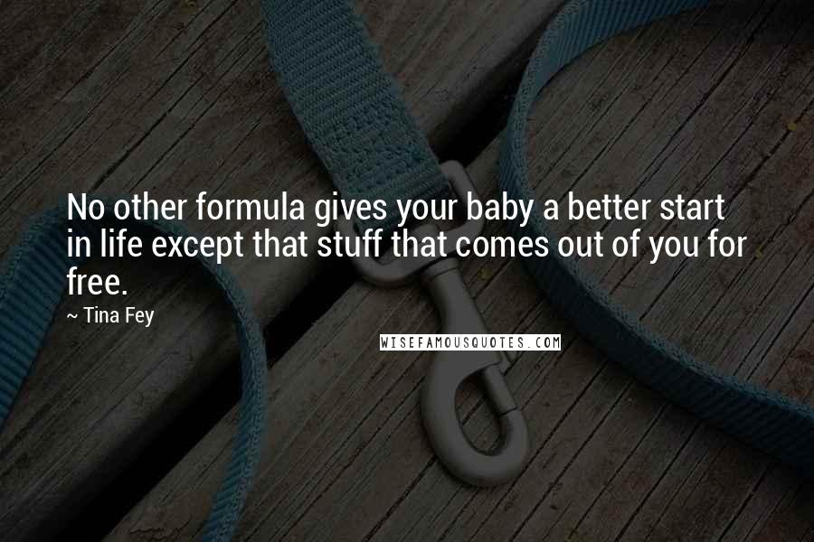 Tina Fey Quotes: No other formula gives your baby a better start in life except that stuff that comes out of you for free.