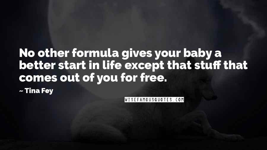 Tina Fey Quotes: No other formula gives your baby a better start in life except that stuff that comes out of you for free.