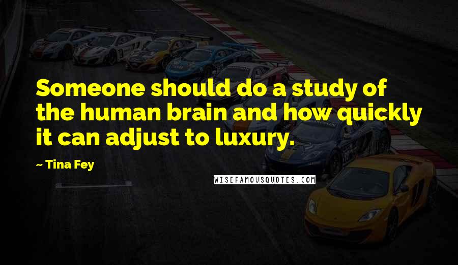 Tina Fey Quotes: Someone should do a study of the human brain and how quickly it can adjust to luxury.