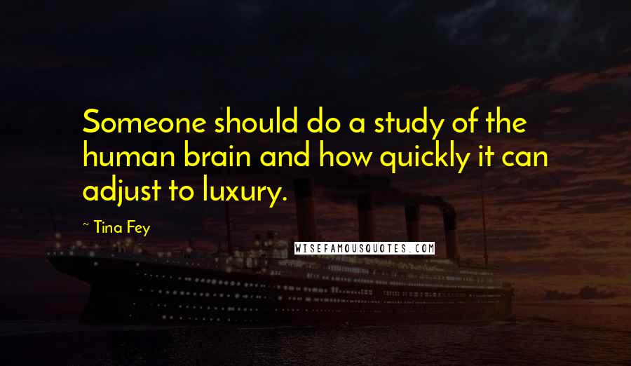 Tina Fey Quotes: Someone should do a study of the human brain and how quickly it can adjust to luxury.