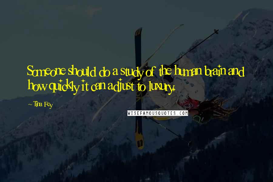 Tina Fey Quotes: Someone should do a study of the human brain and how quickly it can adjust to luxury.