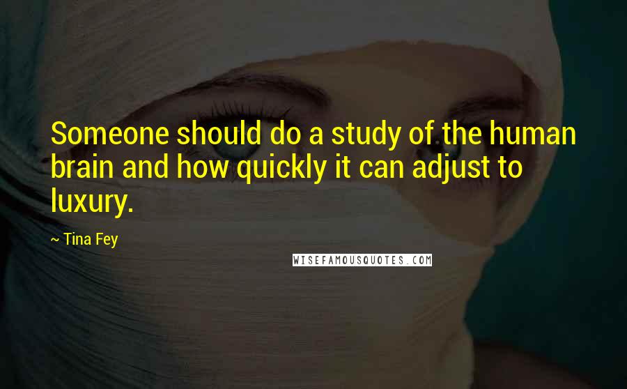 Tina Fey Quotes: Someone should do a study of the human brain and how quickly it can adjust to luxury.