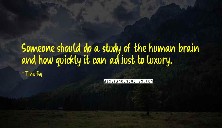 Tina Fey Quotes: Someone should do a study of the human brain and how quickly it can adjust to luxury.