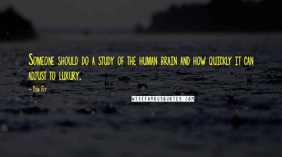 Tina Fey Quotes: Someone should do a study of the human brain and how quickly it can adjust to luxury.