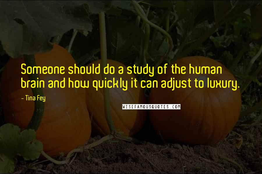 Tina Fey Quotes: Someone should do a study of the human brain and how quickly it can adjust to luxury.