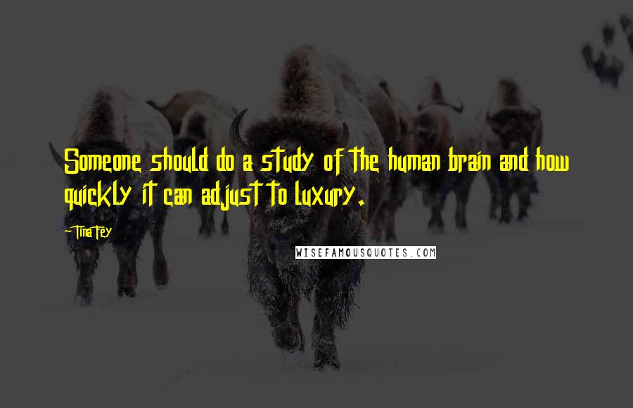 Tina Fey Quotes: Someone should do a study of the human brain and how quickly it can adjust to luxury.