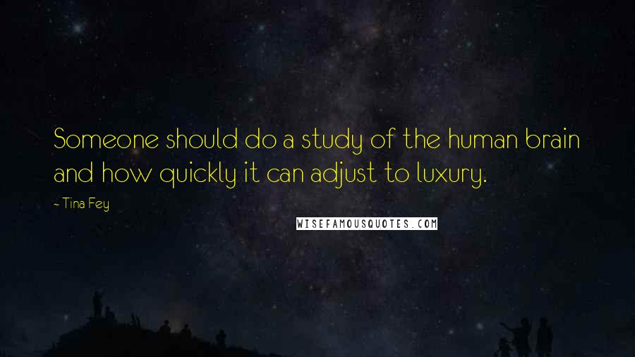 Tina Fey Quotes: Someone should do a study of the human brain and how quickly it can adjust to luxury.