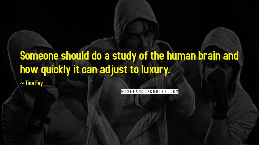 Tina Fey Quotes: Someone should do a study of the human brain and how quickly it can adjust to luxury.