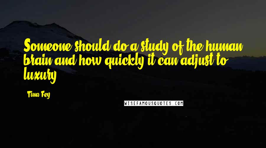 Tina Fey Quotes: Someone should do a study of the human brain and how quickly it can adjust to luxury.