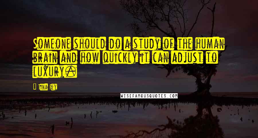 Tina Fey Quotes: Someone should do a study of the human brain and how quickly it can adjust to luxury.