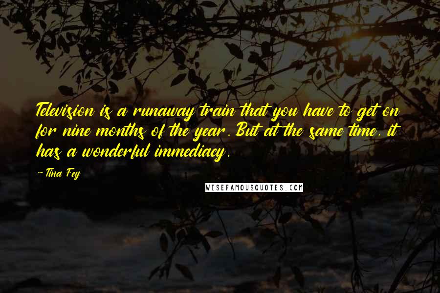 Tina Fey Quotes: Television is a runaway train that you have to get on for nine months of the year. But at the same time, it has a wonderful immediacy.