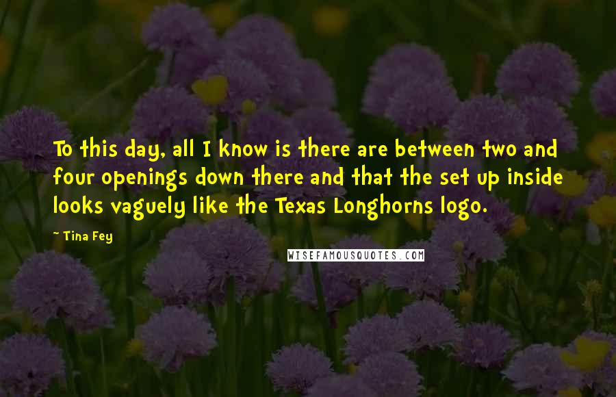 Tina Fey Quotes: To this day, all I know is there are between two and four openings down there and that the set up inside looks vaguely like the Texas Longhorns logo.