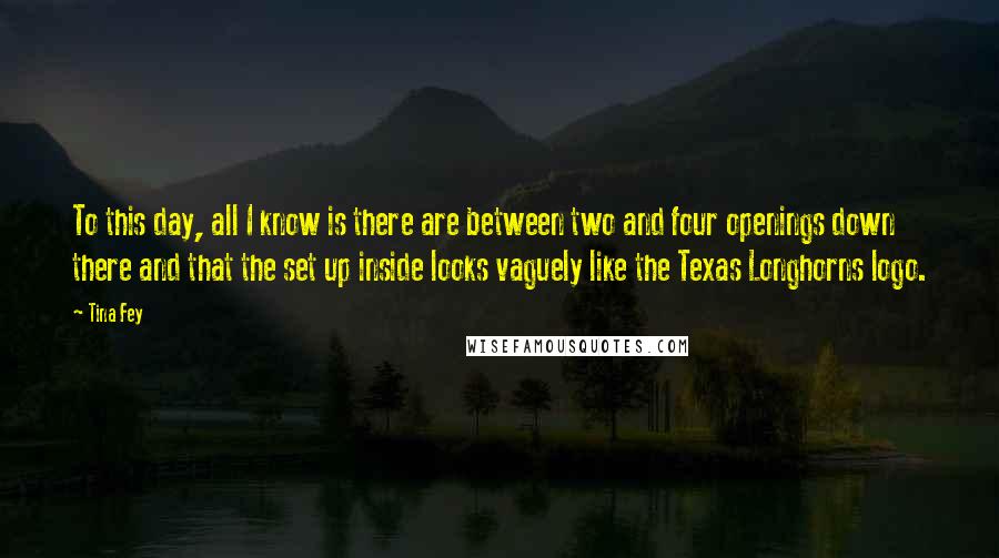 Tina Fey Quotes: To this day, all I know is there are between two and four openings down there and that the set up inside looks vaguely like the Texas Longhorns logo.