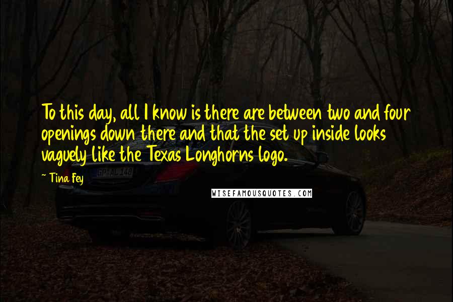 Tina Fey Quotes: To this day, all I know is there are between two and four openings down there and that the set up inside looks vaguely like the Texas Longhorns logo.
