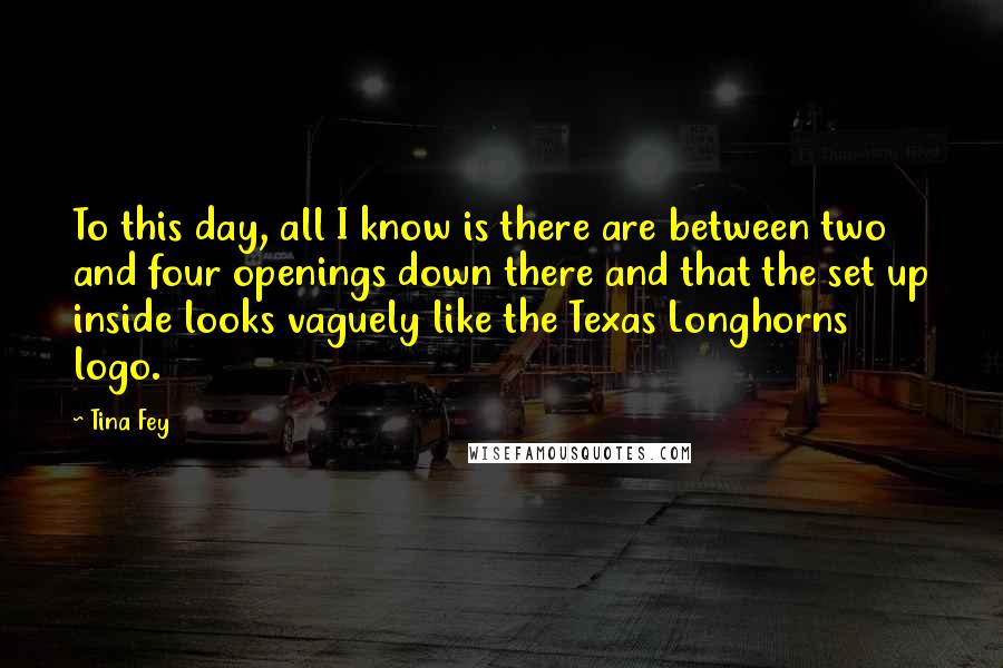Tina Fey Quotes: To this day, all I know is there are between two and four openings down there and that the set up inside looks vaguely like the Texas Longhorns logo.